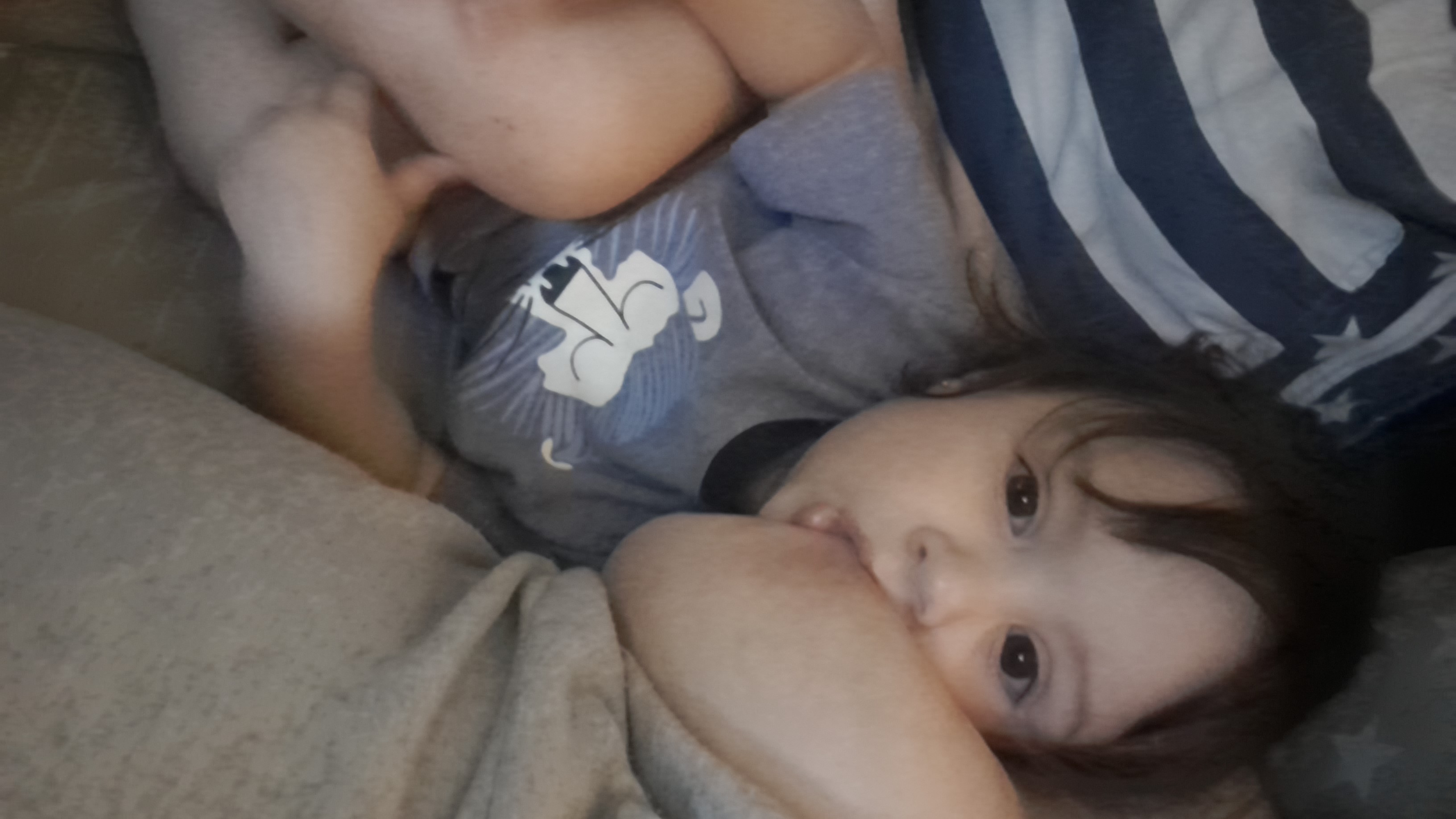 IMG-20260123-WA0017.jpeg