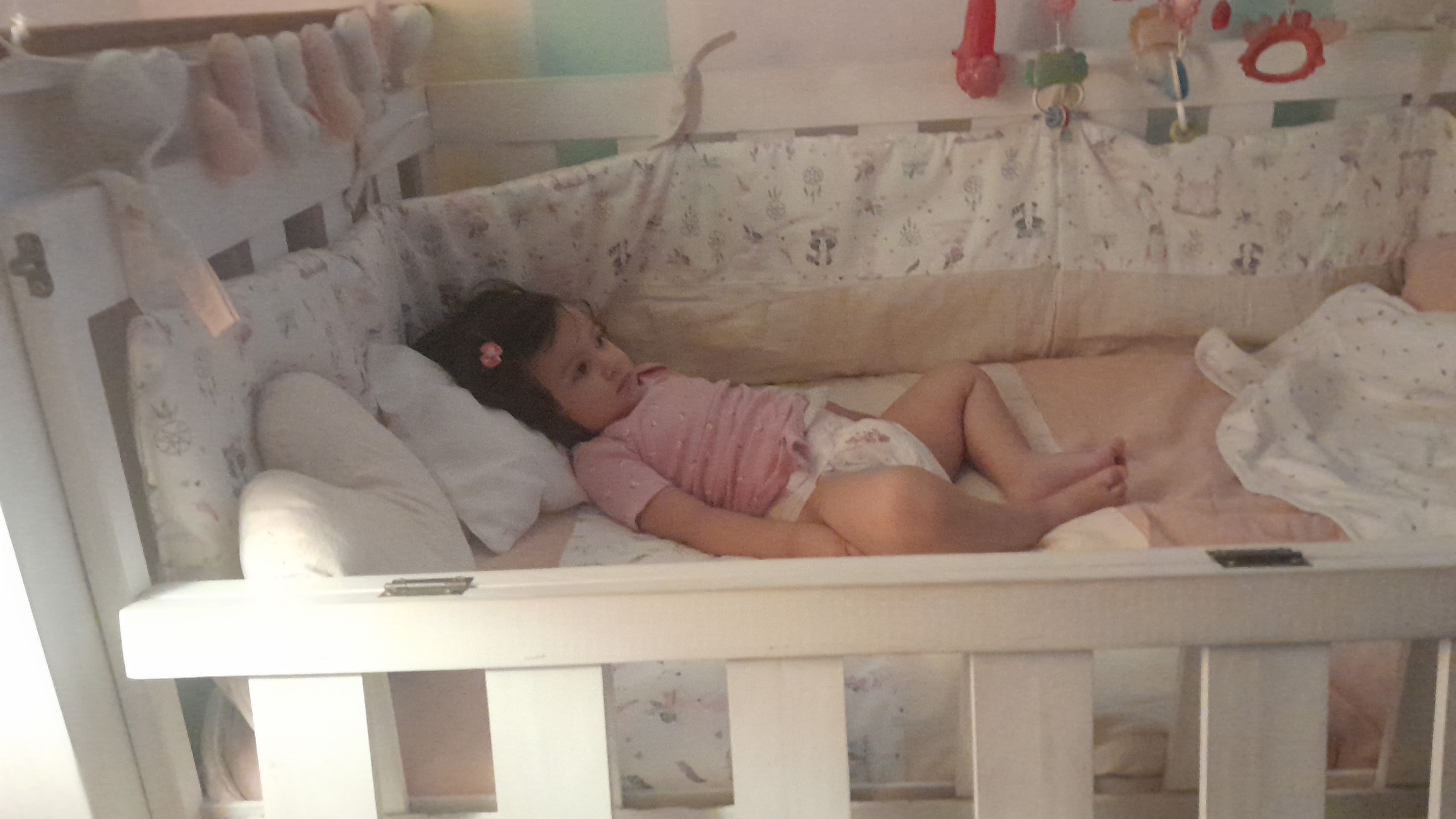 IMG-20260205-WA0080.jpeg