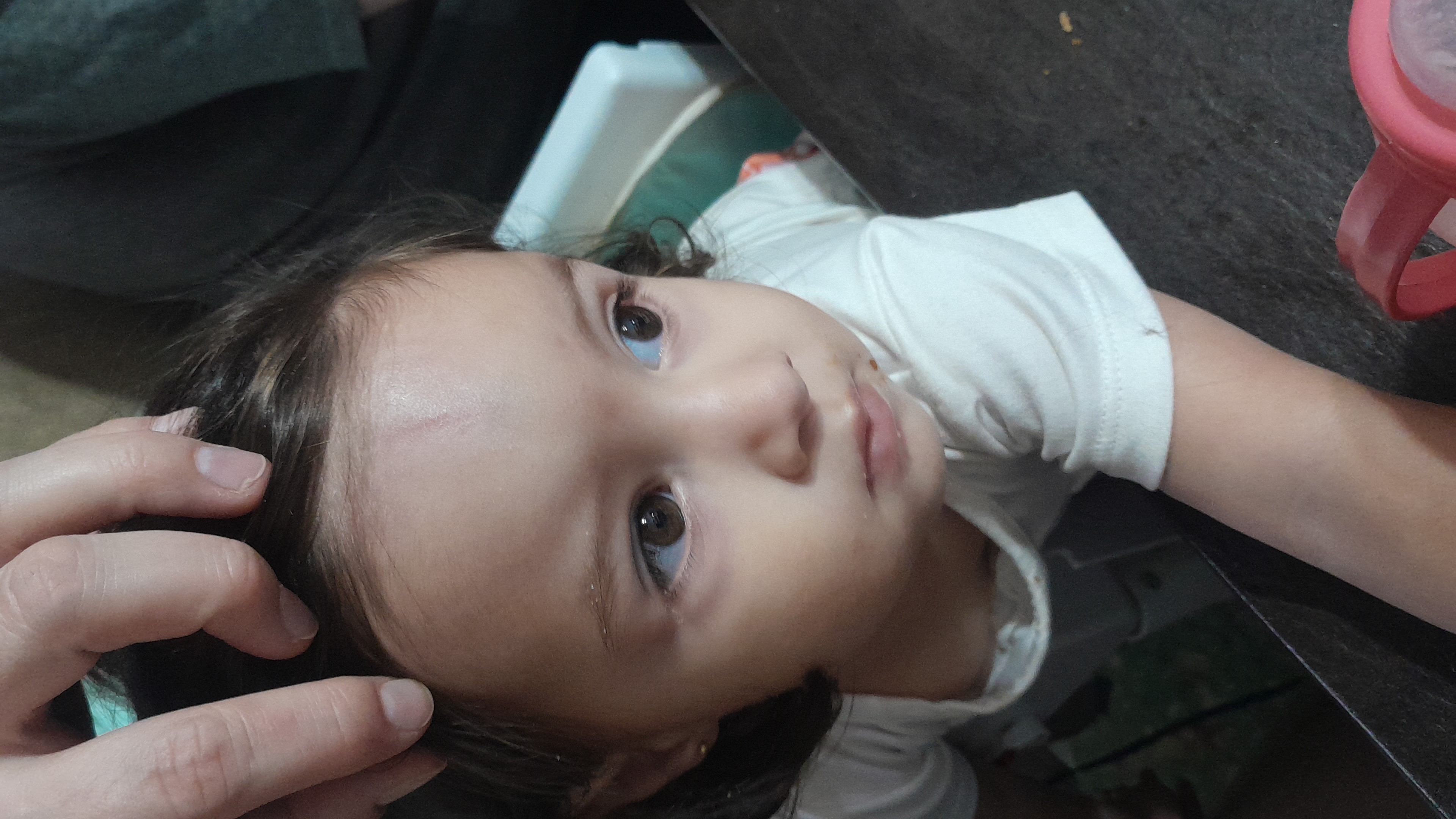 IMG-20260222-WA0030.jpeg