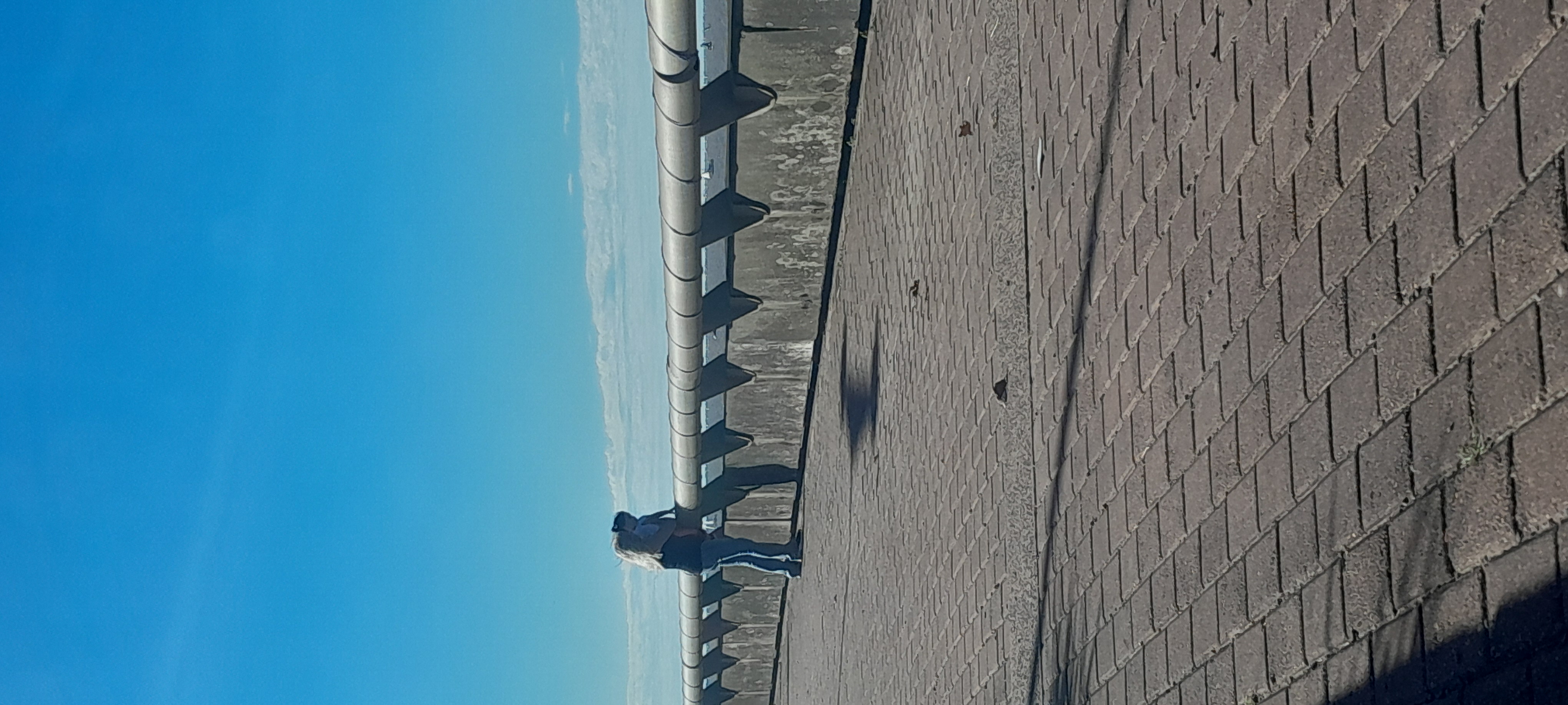 20260322_164541.jpg