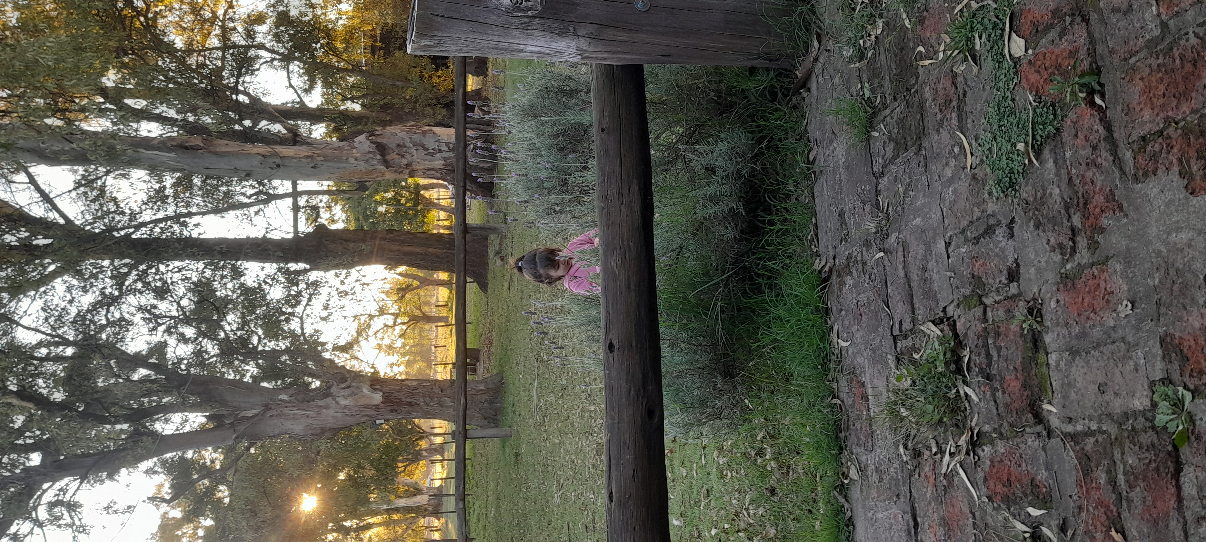 20260323_182826.jpg