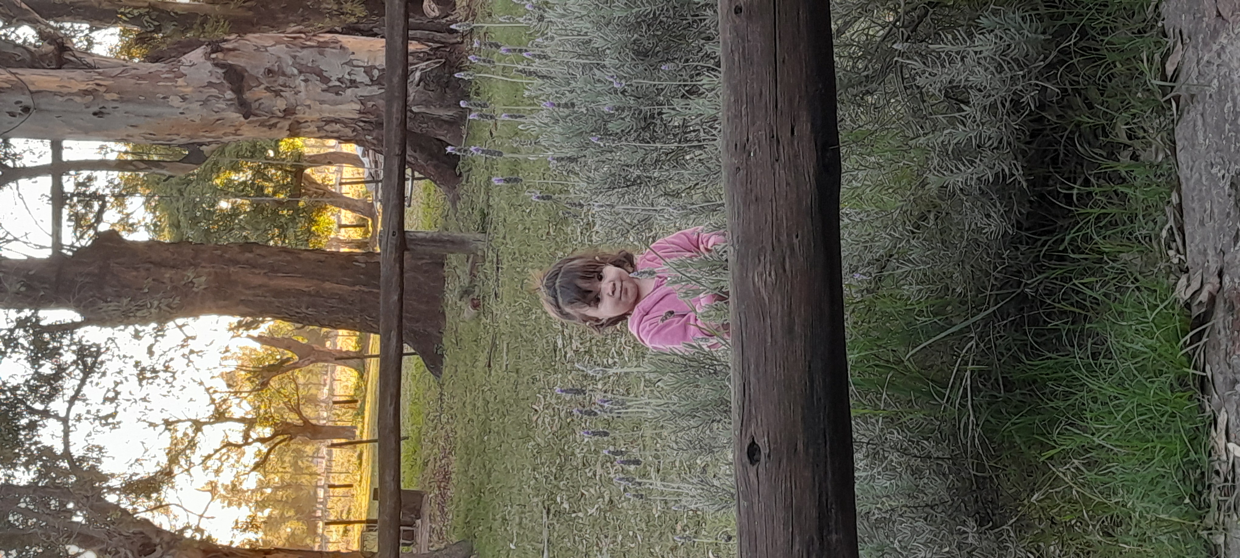 20260323_182830.jpg