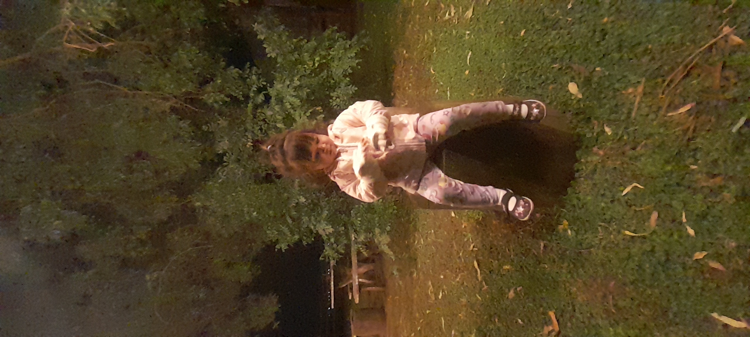20260323_200937.jpg